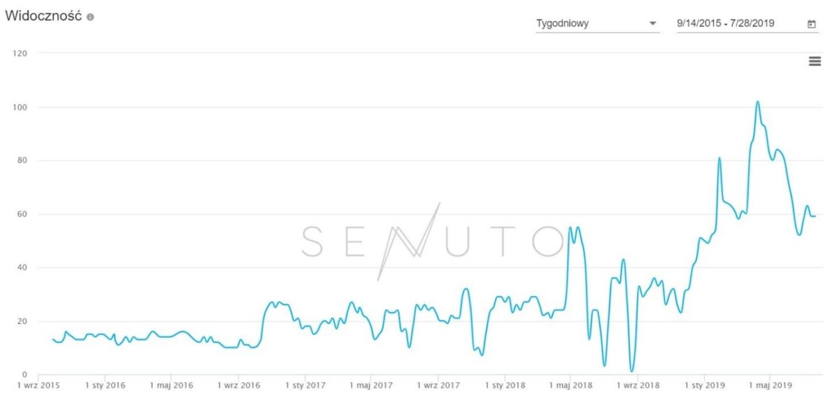 Pozycjonowanie case study 07 picture